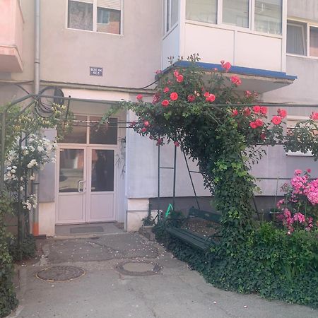 Cazare Medias, Apartament Modern Eksteriør billede